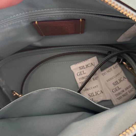 Coach Rowan Satchel Bag – Light Blue Signature Canvas