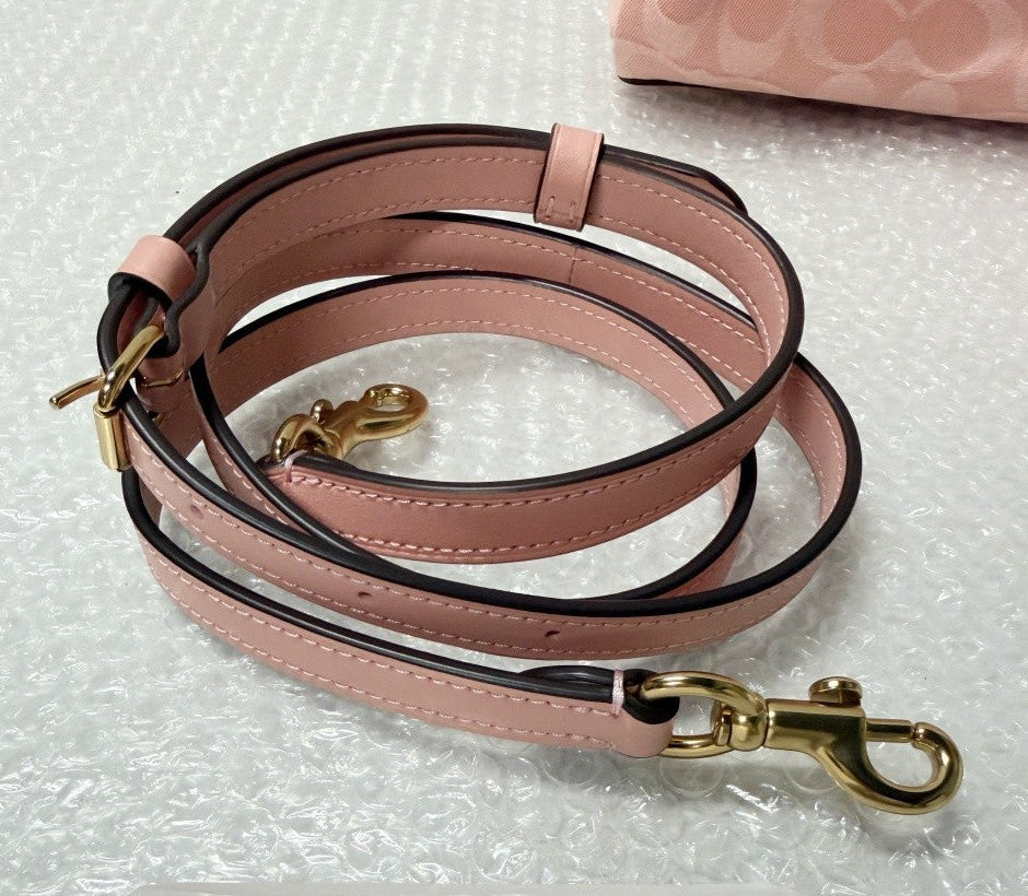 Pink leather dog leash with gold clasp on a white background, featuring the brand 'Fancy'.